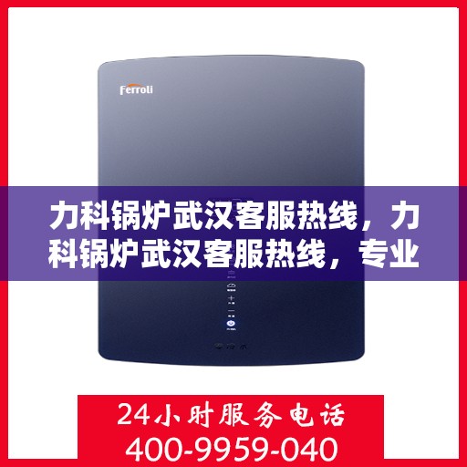 力科锅炉武汉客服热线，力科锅炉武汉客服热线，专业解答，贴心服务