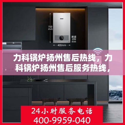 力科锅炉扬州售后热线，力科锅炉扬州售后服务热线，专业团队为您提供贴心服务
