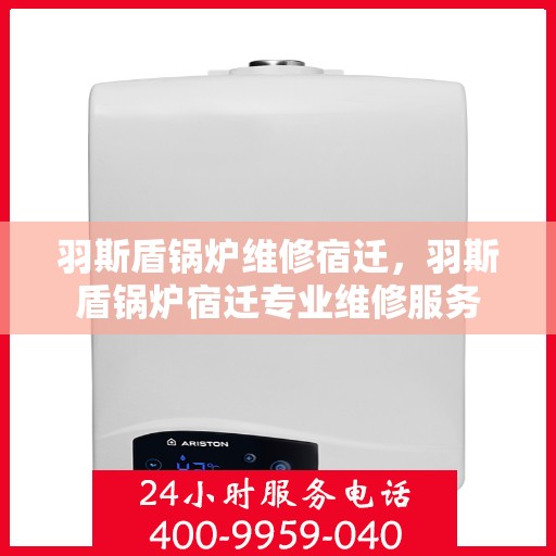 羽斯盾锅炉维修宿迁，羽斯盾锅炉宿迁专业维修服务