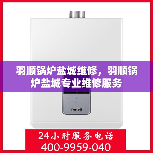 羽顺锅炉盐城维修，羽顺锅炉盐城专业维修服务